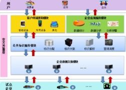 药品串货管理系统软件设计与开发解决方案及后续维护策略